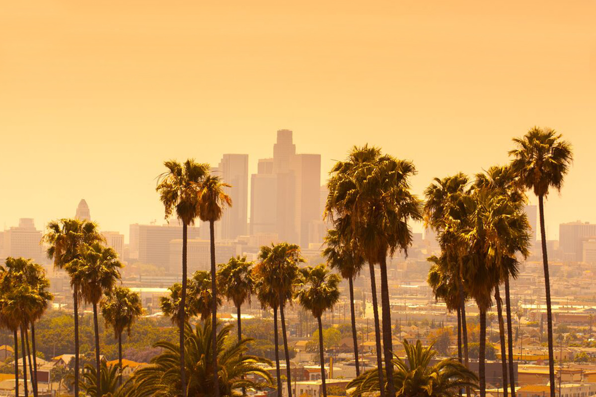 Melaaura: Alexandra’s New Hub in Los Angeles